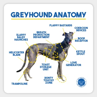 Greyhound Anatomy Sticker